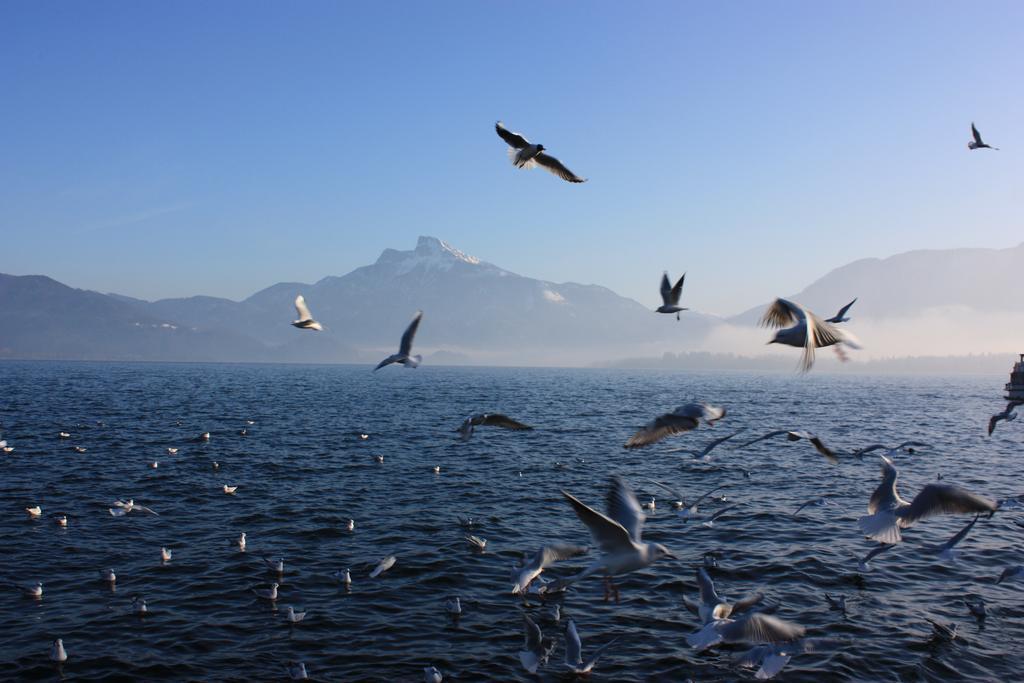 Pension Klimesch Mondsee Luaran gambar