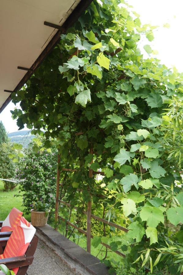 Pension Klimesch Mondsee Luaran gambar
